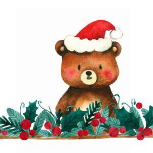 Il Natale di Orso Bruno