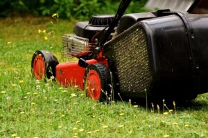 Sondaggio attivazione servizio raccolta scarti vegetali